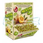 MANG. ZENZERO/LIMONE BIO 750g PZ.188 FASSI